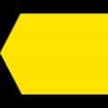 FluxFM